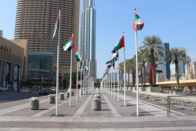Best UAE Labour Law Training Institute in Dubai